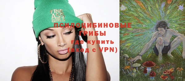 прущий лед Аркадак